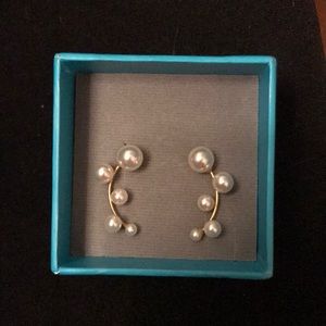 Pearl Ear Climber